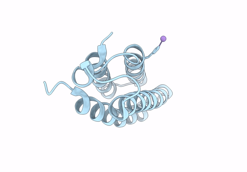 9DBC image