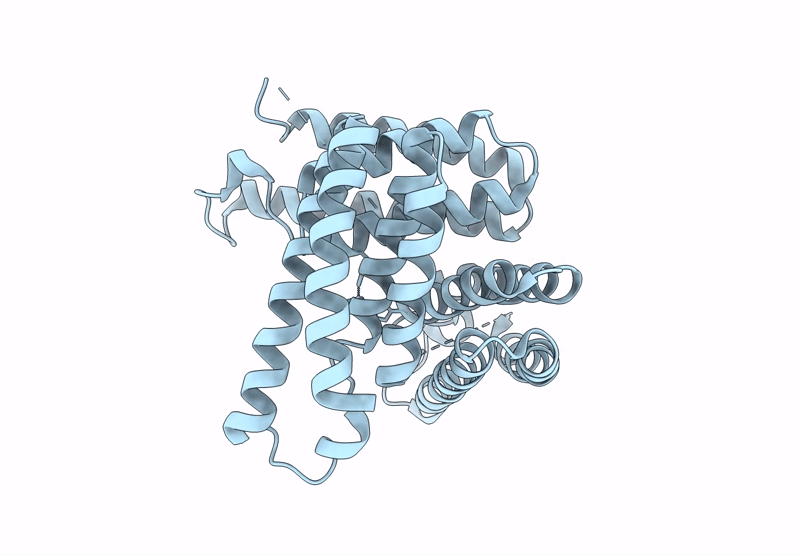 9DBF image