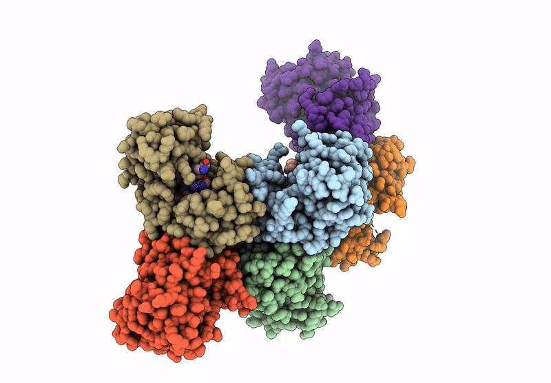 9DBJ image