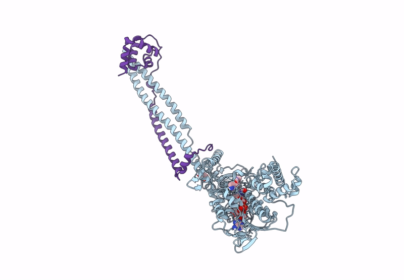 9DBP image