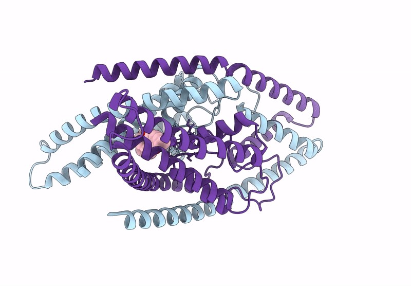 9DBR image