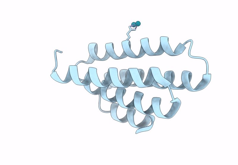 9DBW image