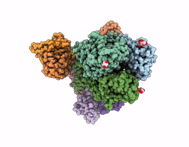 9DBX image