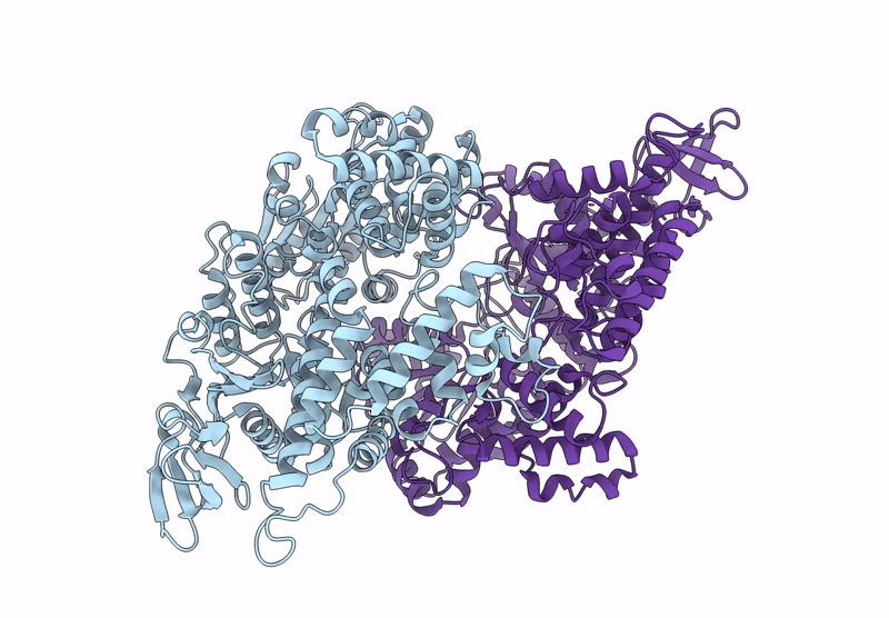 9DCI image