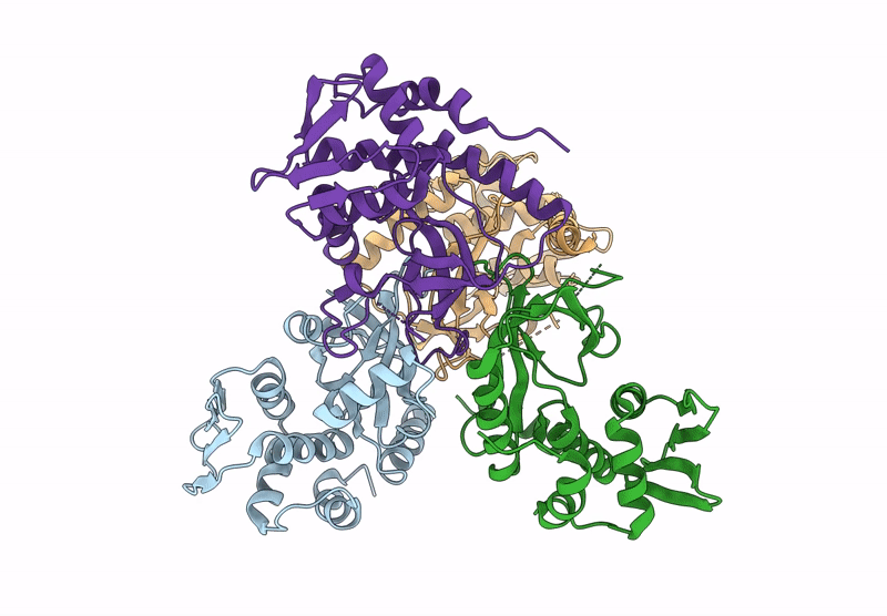 9DCT image