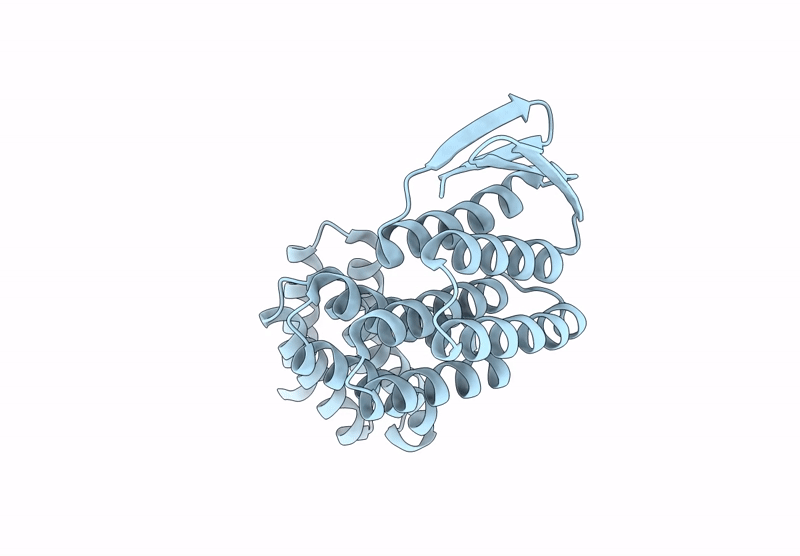 9DCX image