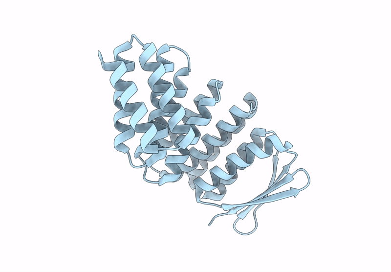 9DD2 image
