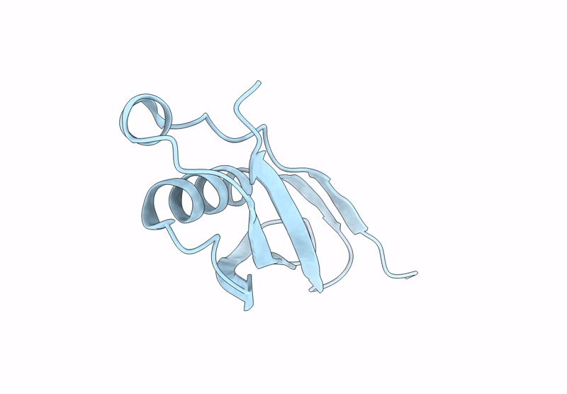 9DDZ image