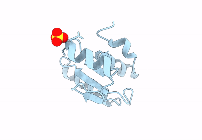 9DFO image