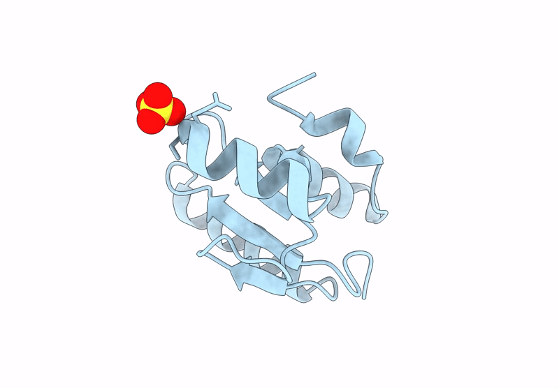 9DFP image