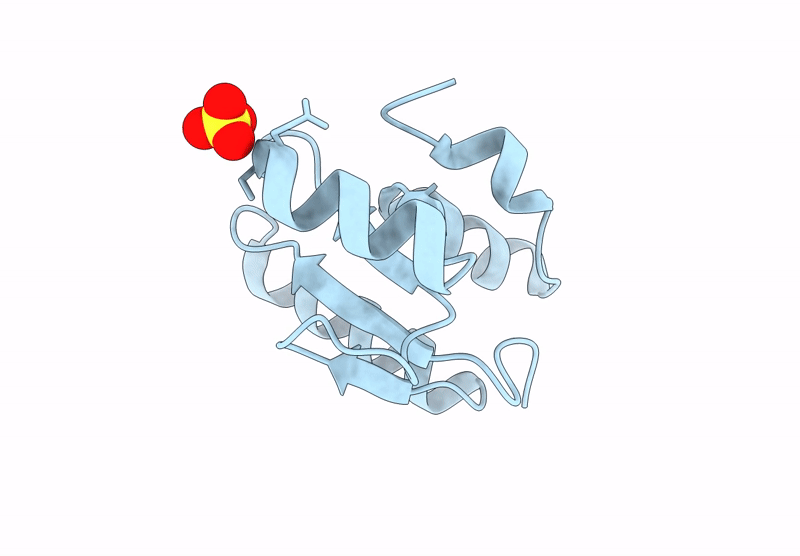 9DFR image