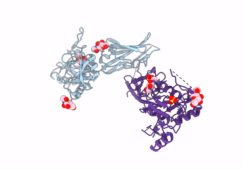 9DFT image