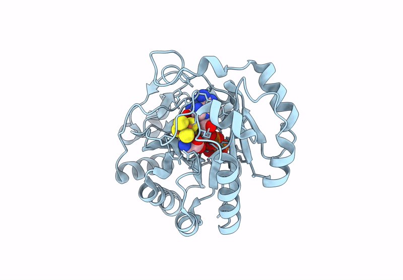 9DFU image