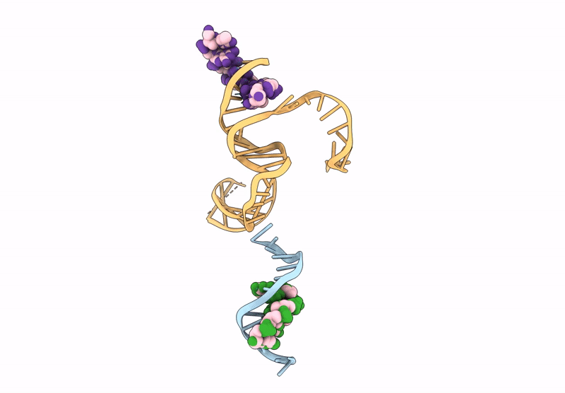 9DFY image