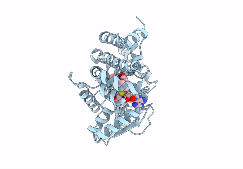 9DGA image