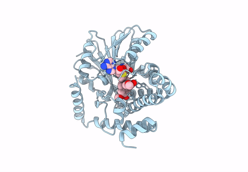 9DGC image