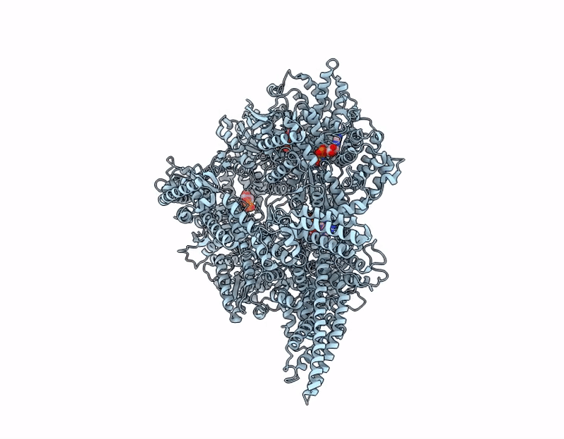 9DGP image