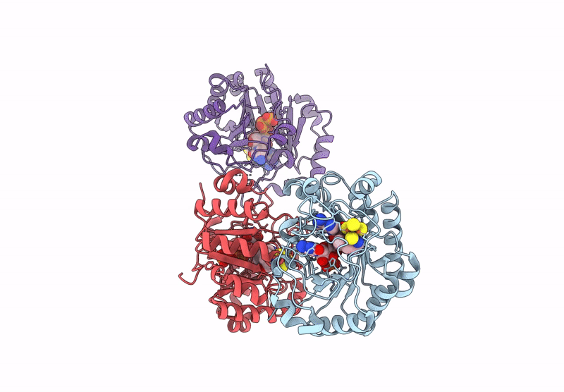 9DGW image