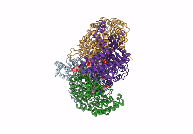 9DHB image