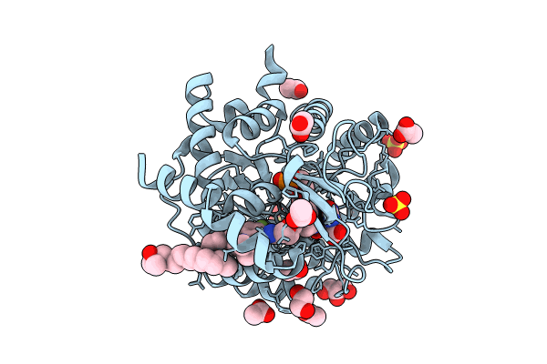 9DHH image