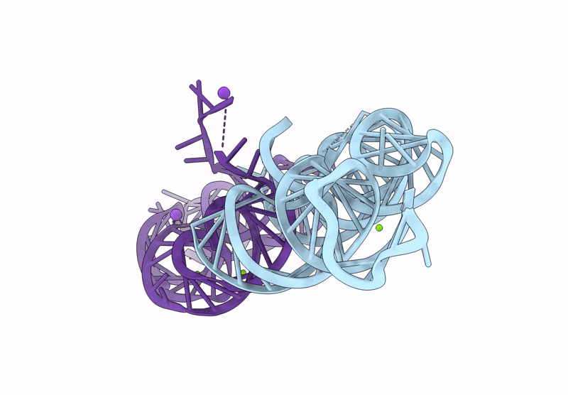 9DIB image