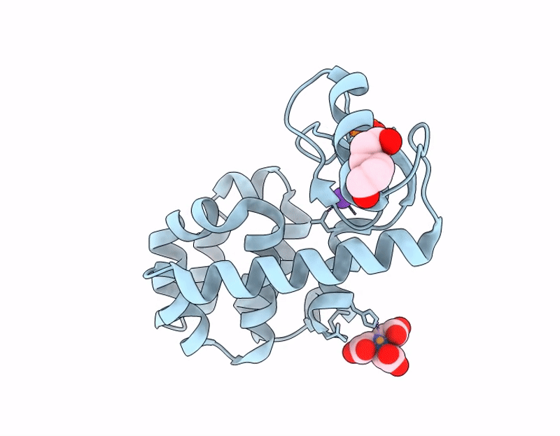 9DJA image