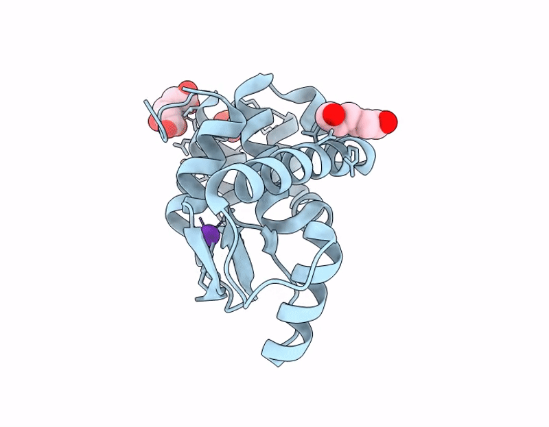 9DJL image