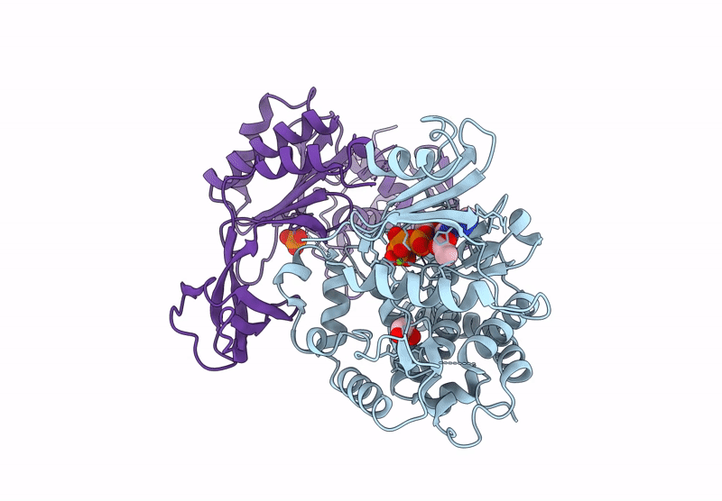 9DK2 image