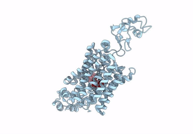 9DKA image