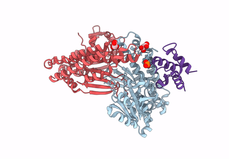 9DKS image