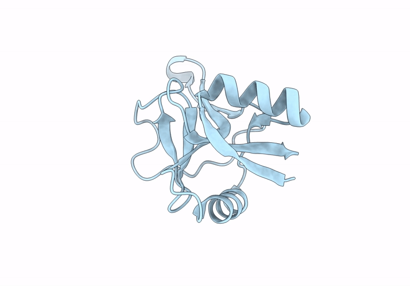9DKZ image