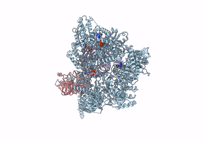 9DLD image