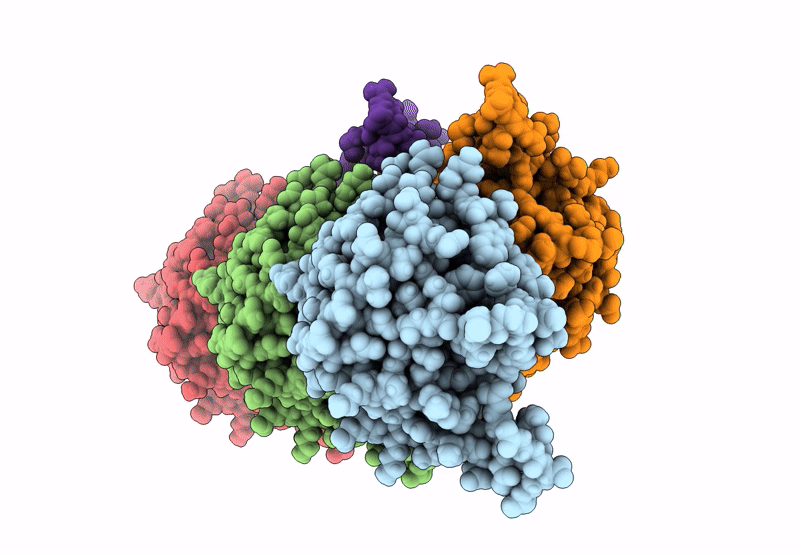 9DLG image