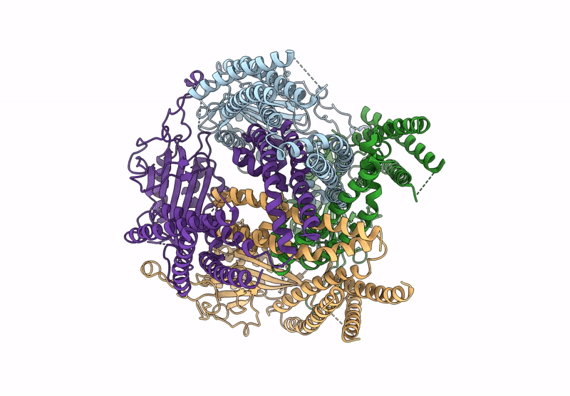 9DLI image