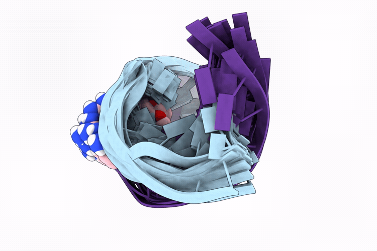 9DLN image