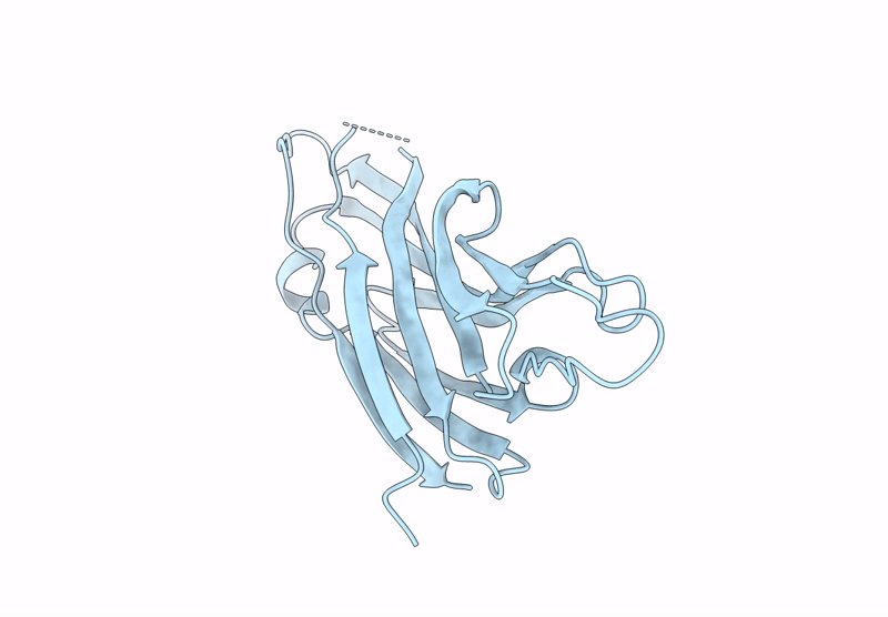 9DLO image