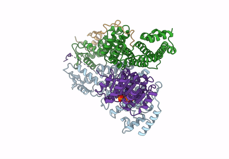9DLP image