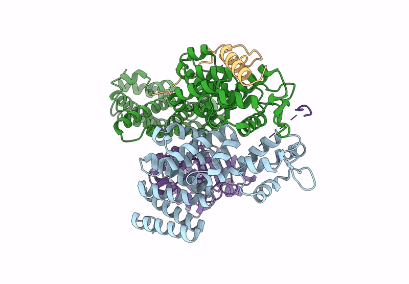 9DLV image