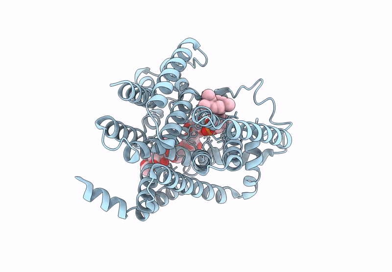 9DM5 image