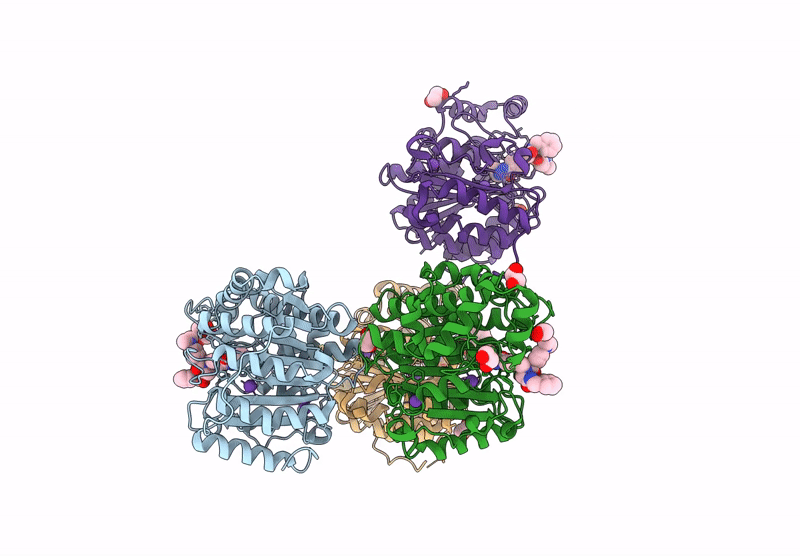 9DM6 image