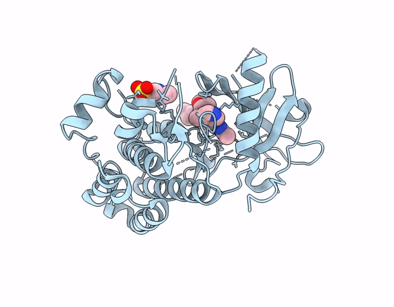9DM8 image