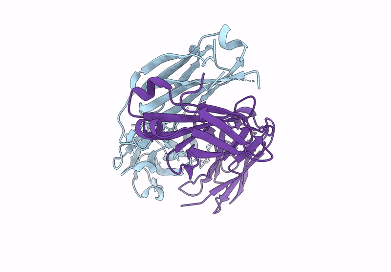 9DMF image