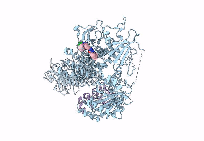9DMI image