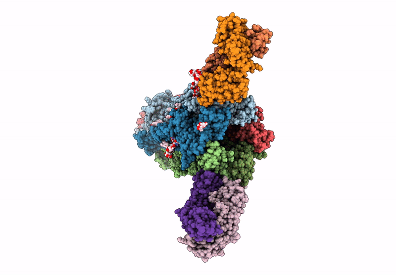 9DMJ image