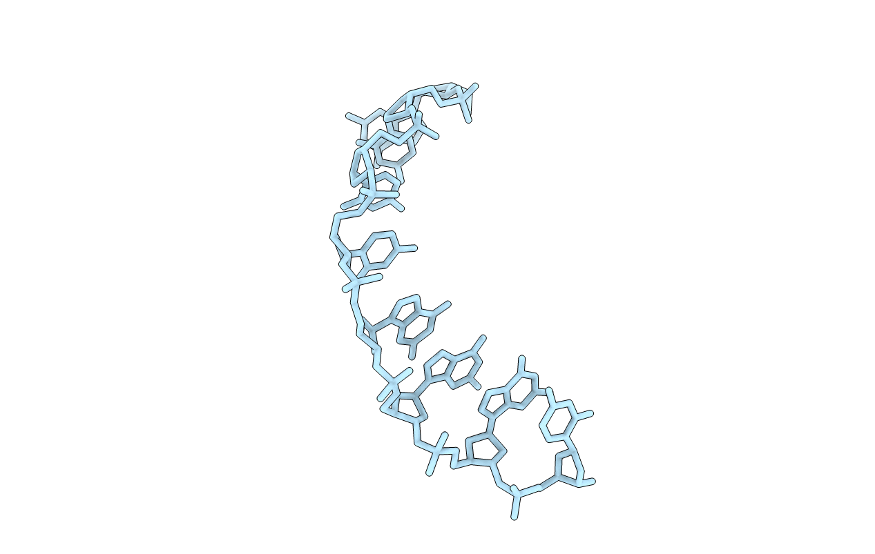 9DNA image