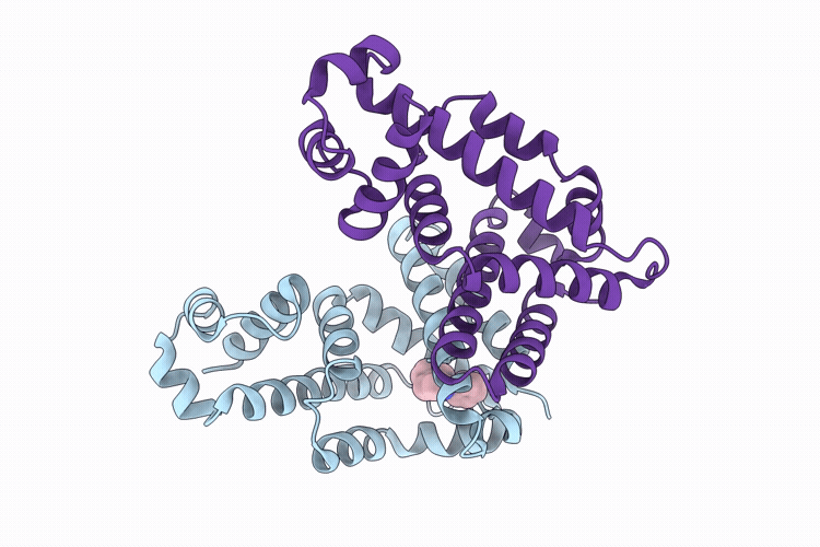 9DNH image