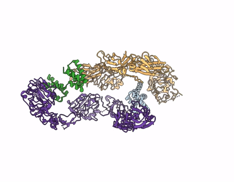 9DNI image