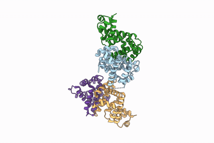 9DNL image