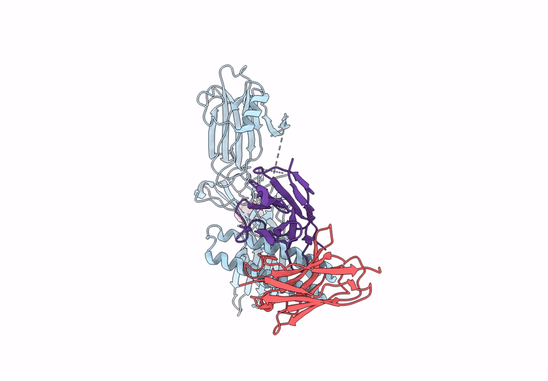 9DNM image