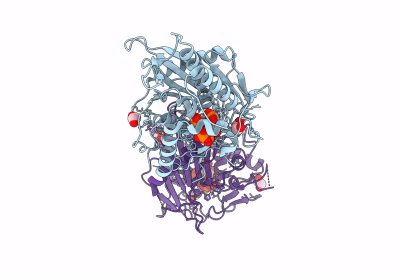 9DP5 image